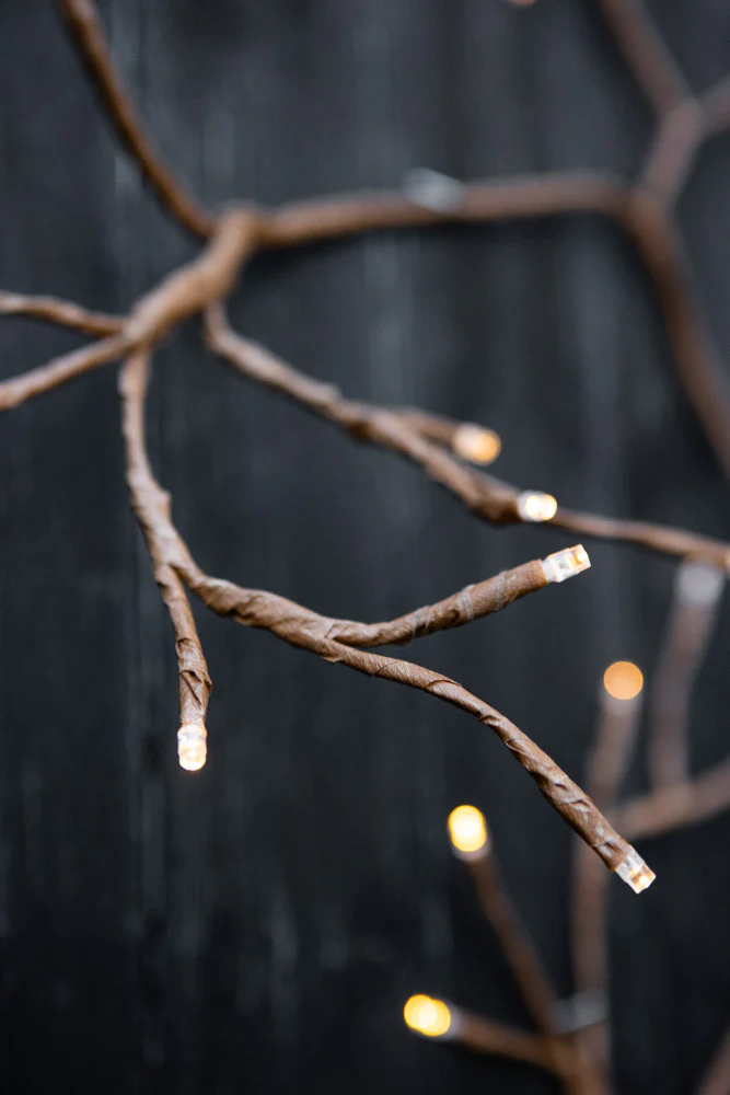 Climbing Ivy Indoor/Outdoor Solar Light - Image 4