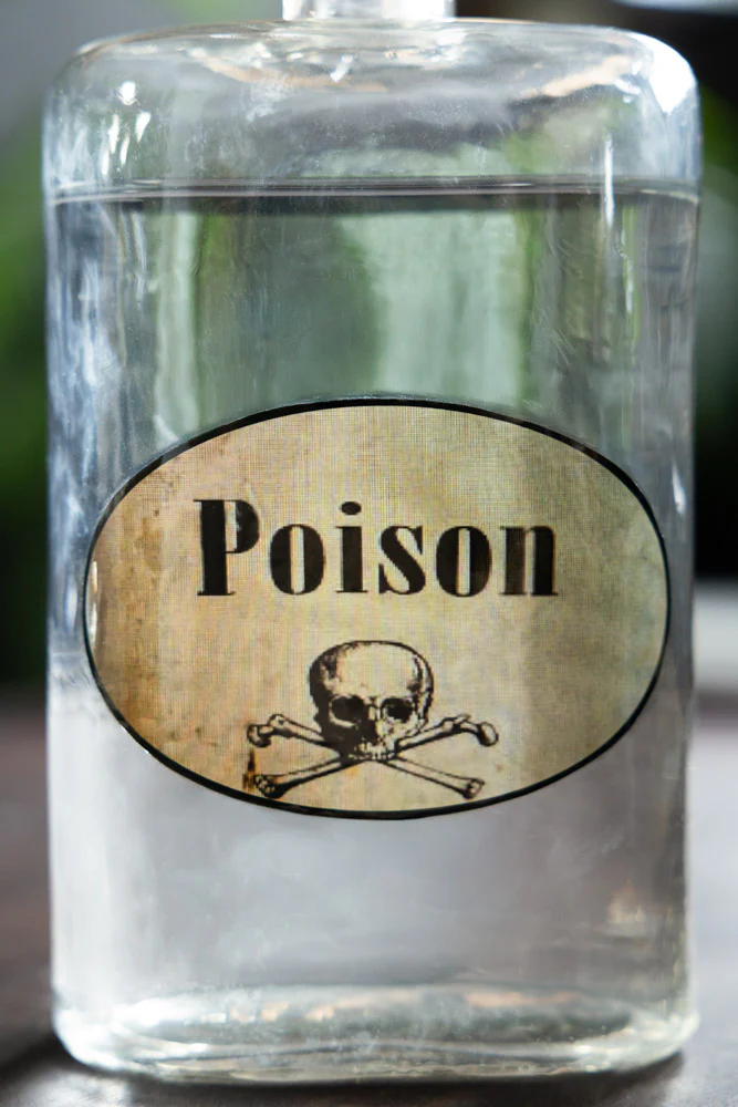 Quirky 'Poison' Glass Decanter - Image 5