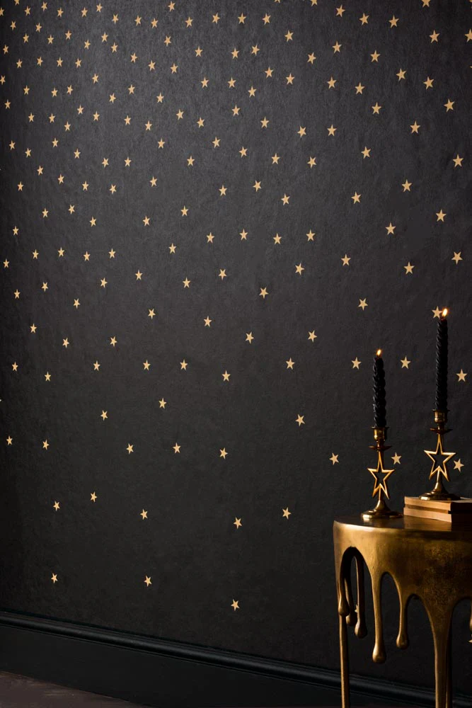 Rockett St George Falling Stars Black Mural - Image 6