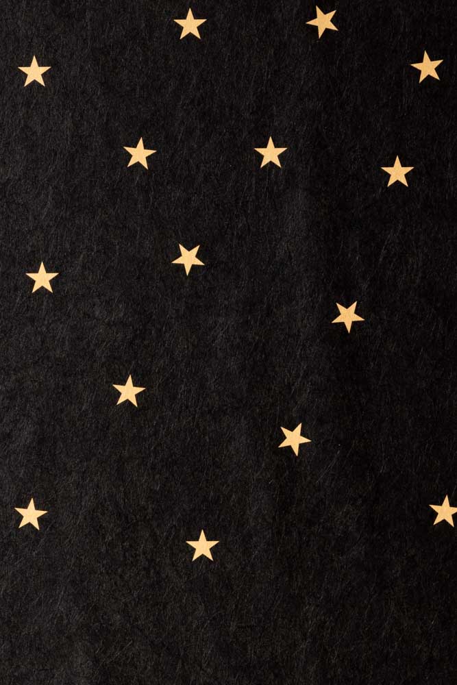 Rockett St George Falling Stars Black Mural - Image 7