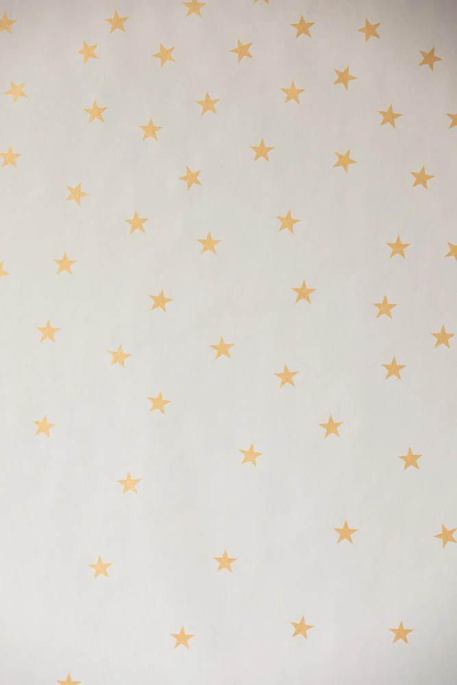 Rockett St George Falling Stars Cream Mural - Image 10