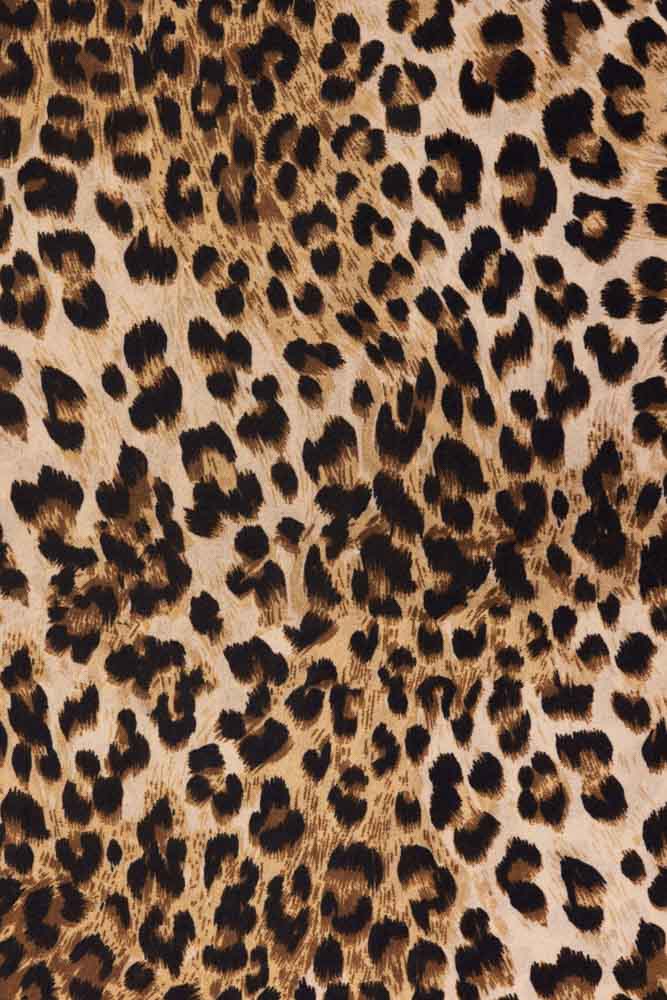 Rockett St George Wild Leopard Love Wallpaper - Image 5